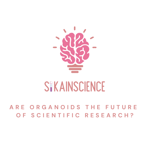 Are Organoids the Future of Scientific Research?